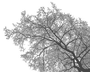 Similar image 21239136