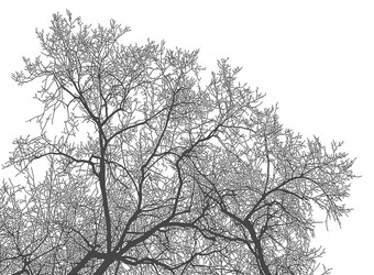 Similar image 21239137