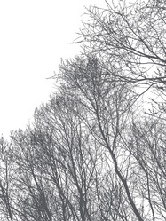 Similar image 21239141