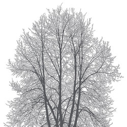 Similar image 21239145