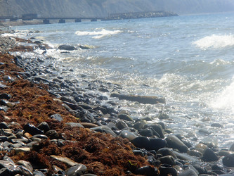 Similar image 21251853