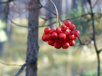 Similar image 21244474