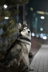 Similar image 21243415