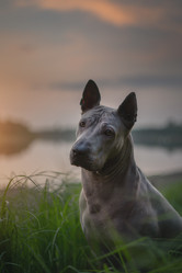 Similar image 21243417