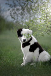 Similar image 21243418