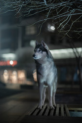 Similar image 21243433