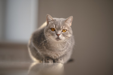 Similar image 21243436