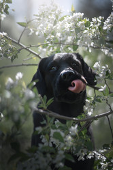 Similar image 21243438