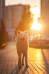 Similar image 21243453