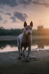 Similar image 21243454