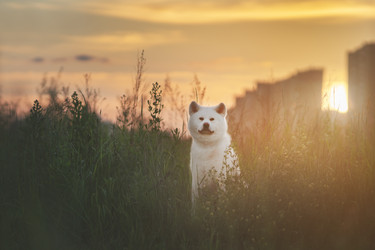 Similar image 21243455