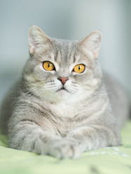 Similar image 21243456