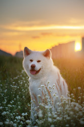 Similar image 21245606