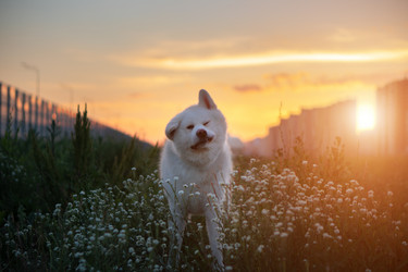 Similar image 21245608