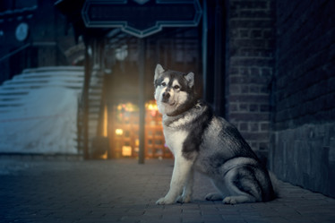 Similar image 21245609