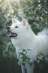 Similar image 21245610