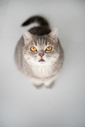 Similar image 21243391