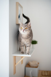 Similar image 21243393