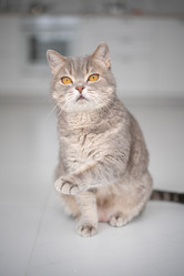 Similar image 21243394