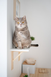 Similar image 21243396