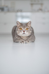 Similar image 21243398