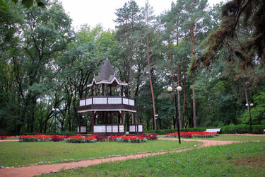 Similar image 21229834