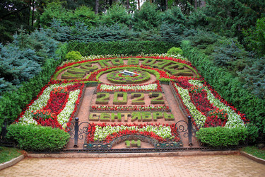 Similar image 21229835