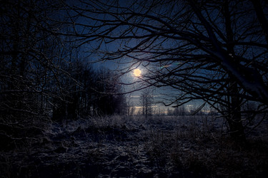 Similar image 21240104