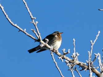 Similar image 21240105