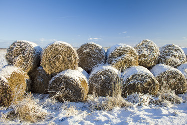 Similar image 21240106