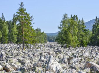 Similar image 21229837