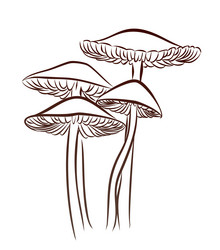 Similar image 21248095