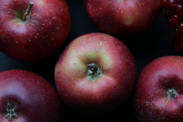 Similar image 21238275