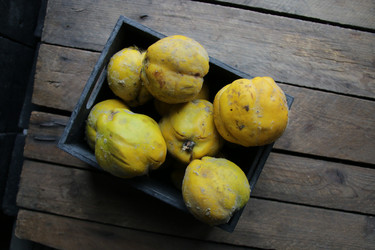 Similar image 21238285