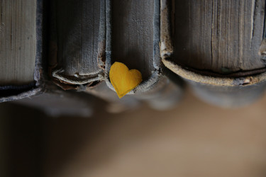 Similar image 21238292