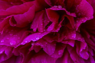 Similar image 21239288