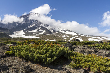 Similar image 21239289