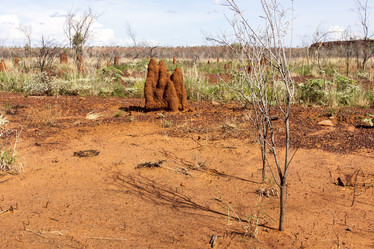 Similar image 21239291