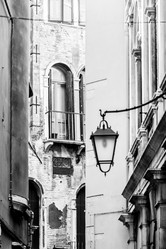 Similar image 21239294