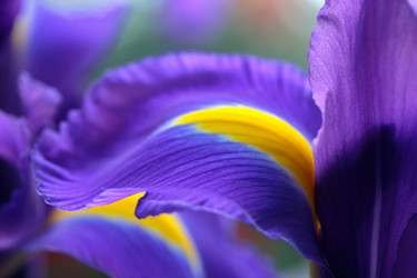 Similar image 21239295