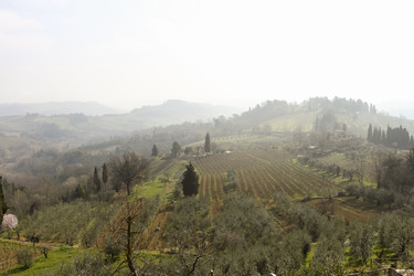 Similar image 21239296