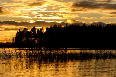 Similar image 21239309