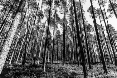 Similar image 21239312