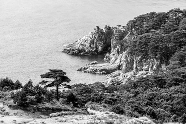 Similar image 21239315