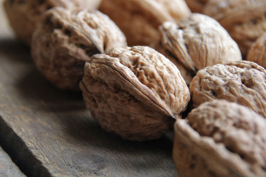 Similar image 21238333