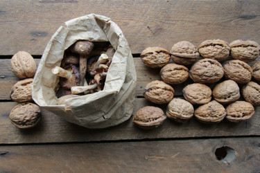 Similar image 21238335