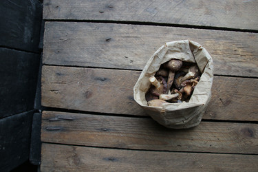 Similar image 21238337