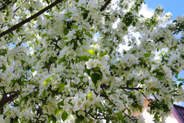 Similar image 21237651