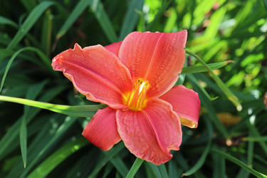 Similar image 21237657