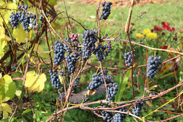 Similar image 21237659